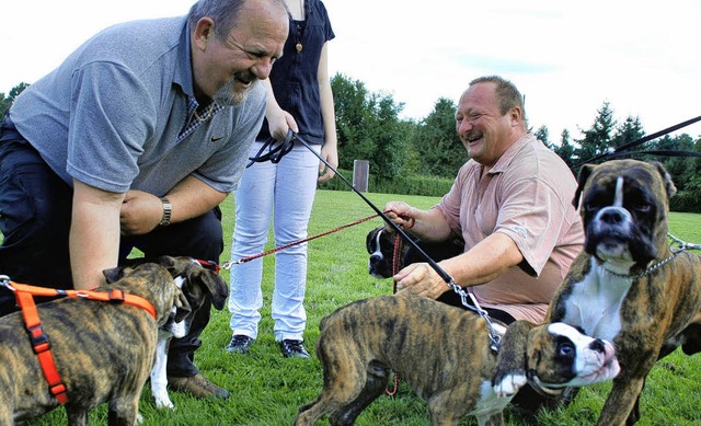 Spa steht bei den Hundebesitzern des ...en, vor allem wie hier fr die Welpen.  | Foto: Maja Tolsdorf