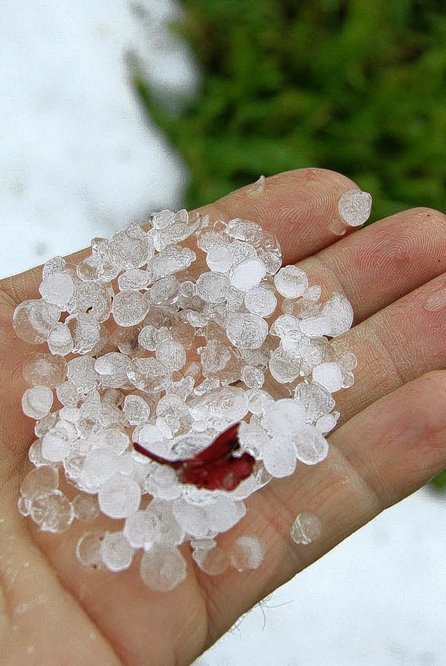 Hagel fand man in Todtmoos-Weg  noch e...chdem die Orkanbe   verschwunden war. 