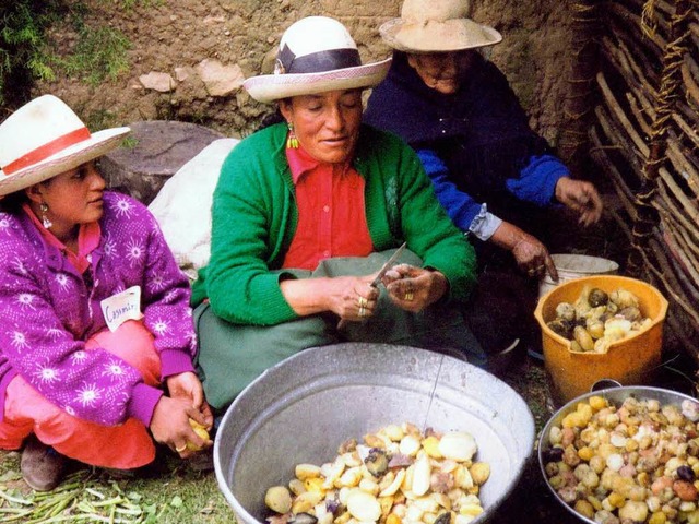 Das Leben  ist nicht   einfach  im peruanischen Hochland.  | Foto: <BZ-Keyword> Privat</BZ-Keyword>