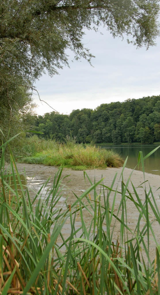 Schtzenswert: die Insel am Rheinufer in Murg   | Foto: WINFRIED Dietsche