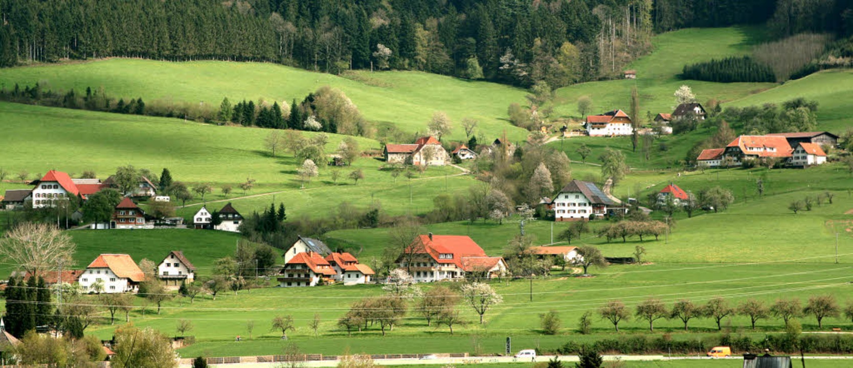 Ganz vertieft in Gutachs Geschichte Gutach im Breisgau Badische Zeitung