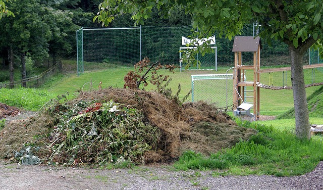 Strend: Grnabflle beim Bolz- und Spielplatz.   | Foto: Werner Probst