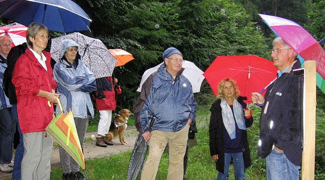 Mit Regenschirm durch fnf Milliarden ...eitweg zwischen Kandern und Wollbach.   | Foto: Markus Maier