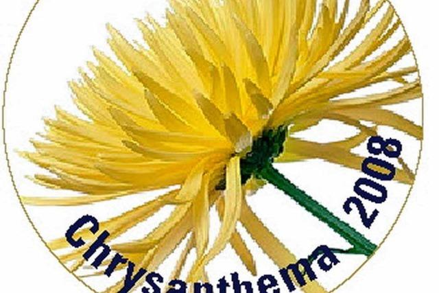 Erstmals ein Anstecker fr die Chrysanthema