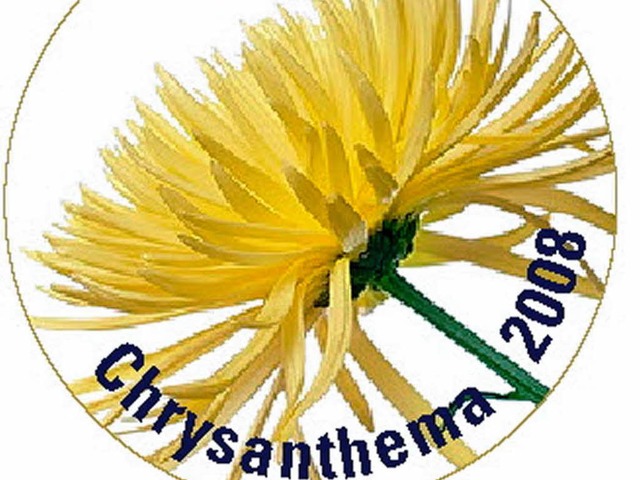Dieser Anstecker wird bei der Chrysanthema erstmals angeboten.  | Foto: Stadt Lahr