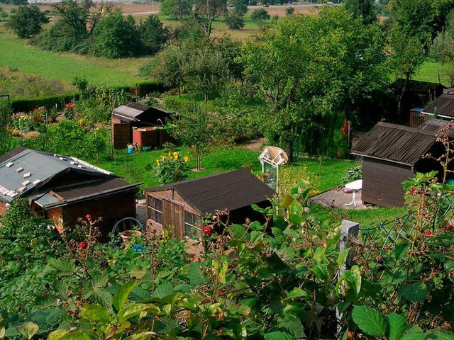 Gartenhtten bleiben ein aktuelles Thema  in Grenzach-Wyhlen.  | Foto: Florian Berndt