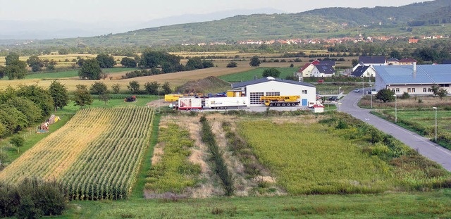 Gewerbe statt Mais: Das Sasbacher Gewe... soll weiter Richtung Norden wachsen.   | Foto: Michael Haberer