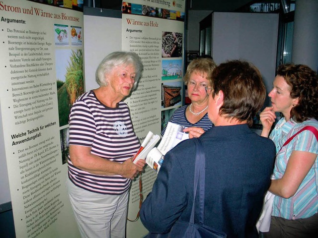 Ausstellung ber erneuerbare Energien zog zahlreiche Besucher an  | Foto: Jutta Schtz