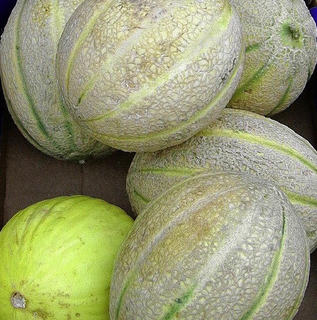 Melonen   | Foto: Wolfgang Meyer