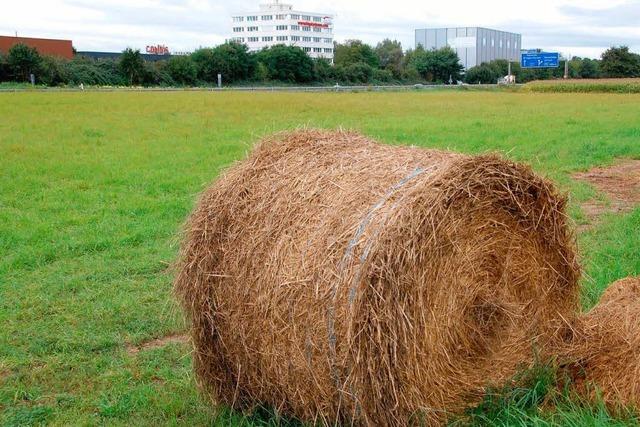 Ortschaftsrat blockt Bebauungsplan ab