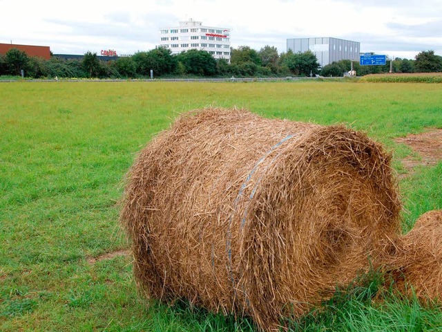 Noch wird das Junkerfeld landwirtschaf... doch das kann sich schon bald ndern.  | Foto: Hannes Lauber