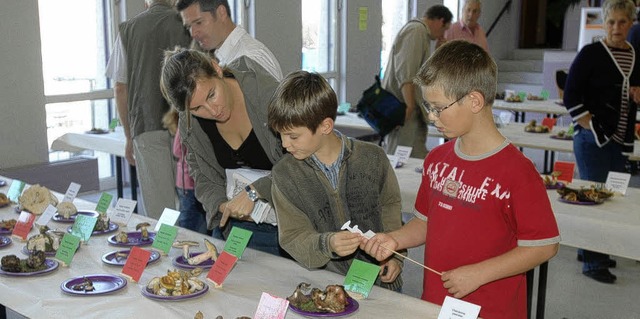 Ein Publikumsmagnet war auch in diesem...ird die Vielzahl an heimischen Pilzen.  | Foto: Alexander Anlicker