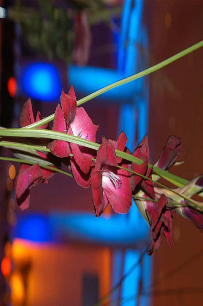 Schne Tischdeko: Blumenschmuck vom Blumen-Batsch