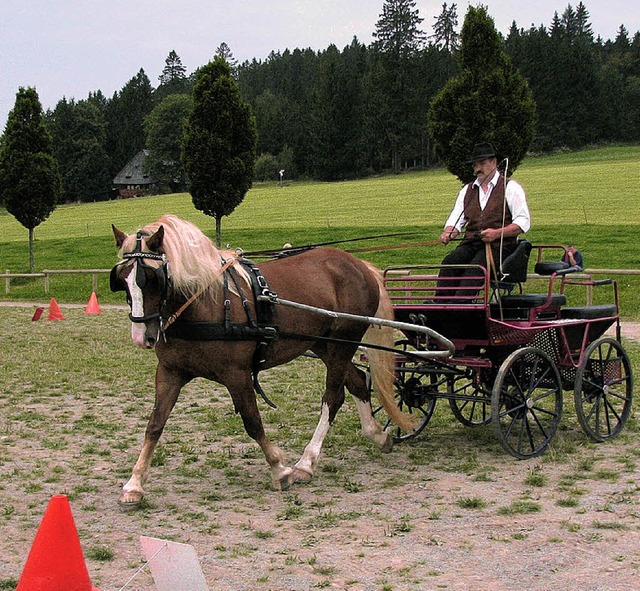 Zugleistungspsrfung 2008  | Foto: monika Rombach