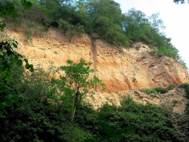 Die Lsswand hinter der frheren Riege... ist am Sonntag ein geologisches Ziel.  | Foto: Michael Haberer