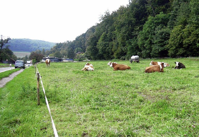 Entlang der Kreisstrae wird das Gewerbegebiet erweitert.   | Foto: Jo Hgg