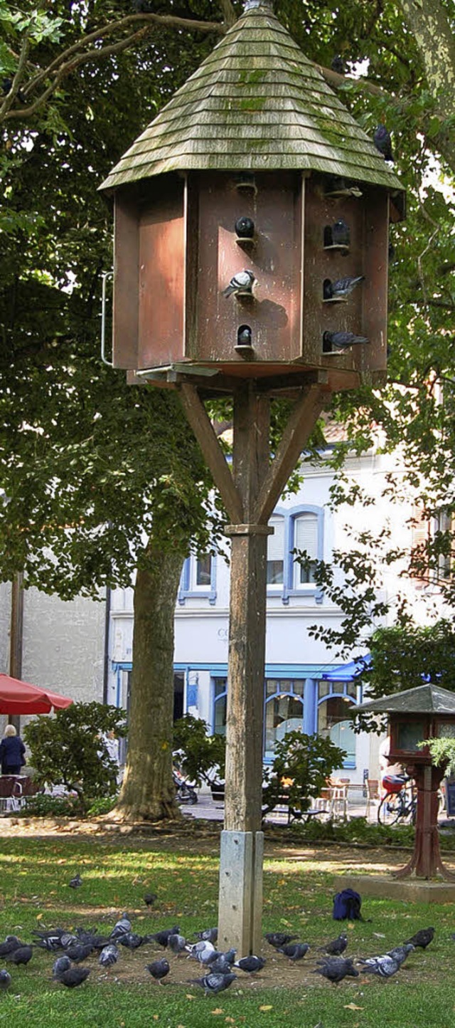 Taubenhaus im Hebelpark:   Es gibt keine Alternative.  | Foto: Schperes