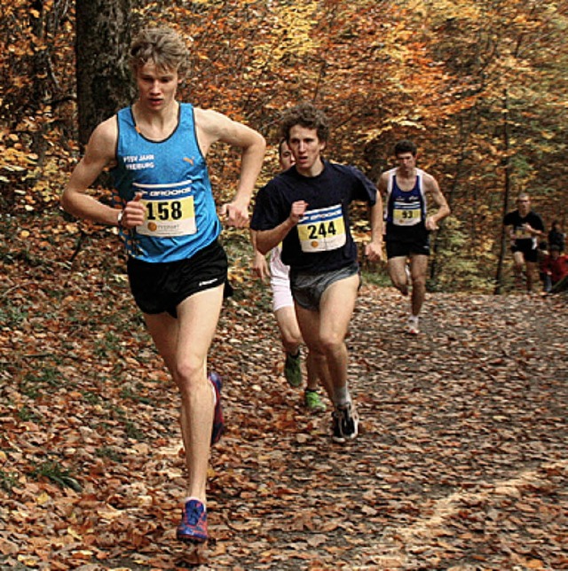 Lauf durch den Herbst.  | Foto: stinn