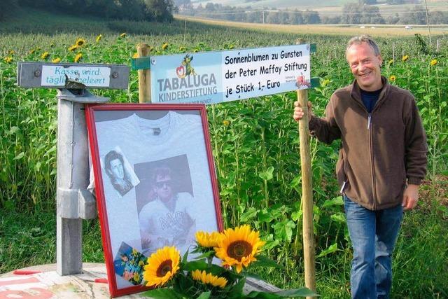 Sonnenblumen fr den guten Zweck