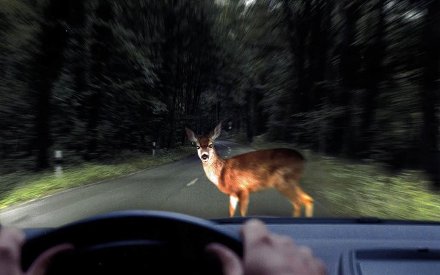 Tierische Begegnung: Autofahrer  solle...hrlicher als ein Ausweichmannver.     | Foto: dpa