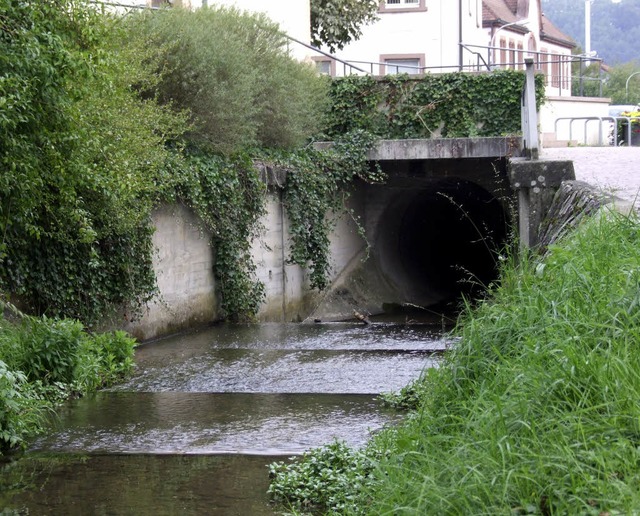 Probleme am Dohleneingang des Soormatt... den Anlass fr den Hochwasserschutz.   | Foto: Martina David-Wenk