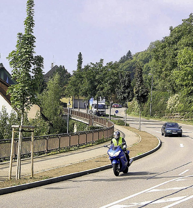 Die Bergahorn-Bume an  der B 500 in W... Sulenahorn-Bume gepflanzt werden.    | Foto: Huber