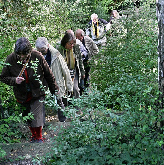 Tag des Geotops: Hier floss einst die Dreisam.  | Foto: rita eggstein