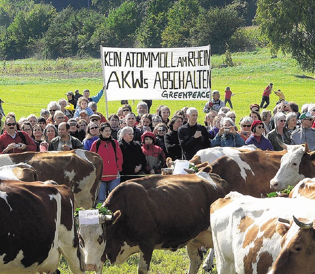 Demonstration gegen Endlager Benken  | Foto: Manfred Herbst