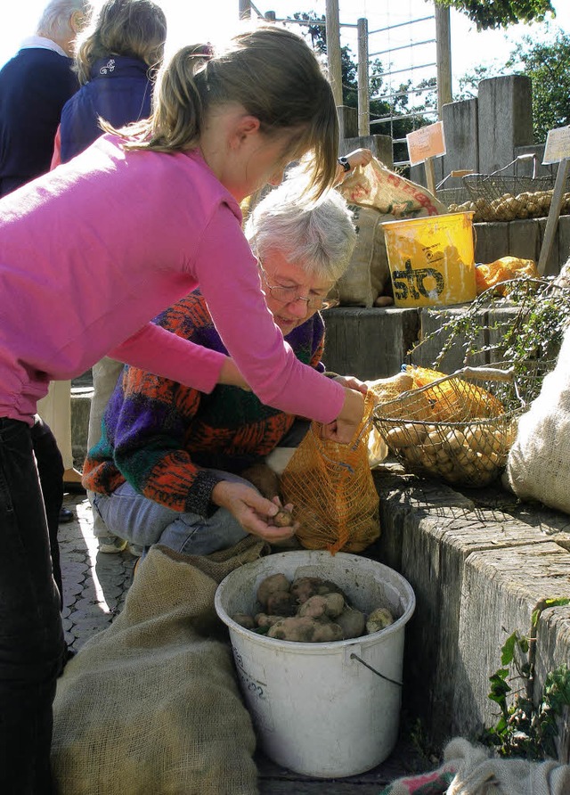 <Bildtext>Am Morgen hatten die Viertkl...sie auch ihre Kartoffeln.  </Bildtext>  | Foto: barbara schmidt