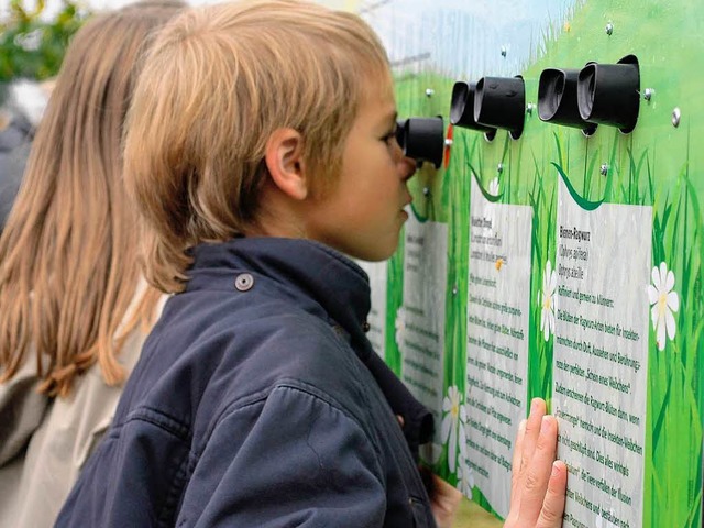 An einer Station knnen die Kinder 3D-Bilder von Orchideen bewundern.  | Foto: Benjamin Bohn