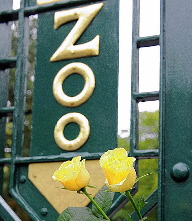 Blumen stecken zum Gedenken an den Pfleger am Tor des Zoologischen Gartens.   | Foto: dpa