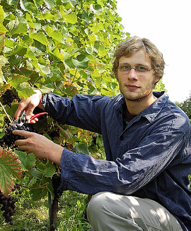 Simon Bohnacker Winzer  | Foto: Anna Fischer