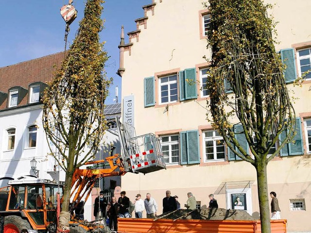 Die neuen Linden auf dem Urteilsplatz  | Foto: Christoph Breithaupt