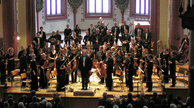 Spielt am 3. November Werke von Beethoven und Brahms: das Orchester Tri-Rhenum  | Foto: promo