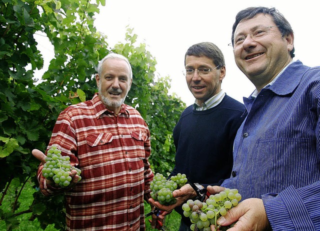 Gut gelaunt  im Weinberg: Die Brgerme...o Metz und Heinrich Dixa (von links).   | Foto: Sandra Decoux-Kone