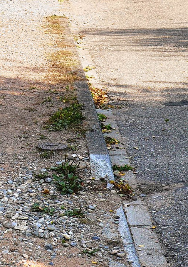 Maroder Gehweg in der Neumattstrae Steinen.   | Foto: Bleckmann