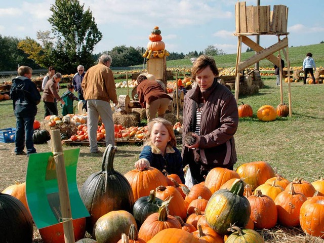 Herbstflle in prchtigen Farben: Die ...Frohnschwand lockte viele Besucher an.  | Foto: Stefan Pichler