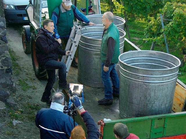 <Bildtext>Das ARD Morgenmagazin berich...der Weinlese aus Ihringen. </Bildtext>  | Foto: Alexander Gbel