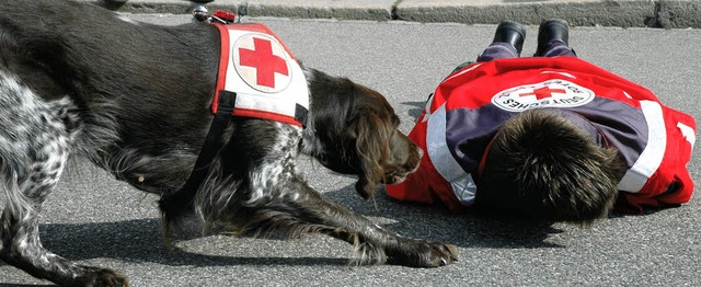 Person gefunden: Auch die DRK-Rettungshundestaffel zeigte ihr Knnen.   | Foto: Heidemarie Wussler