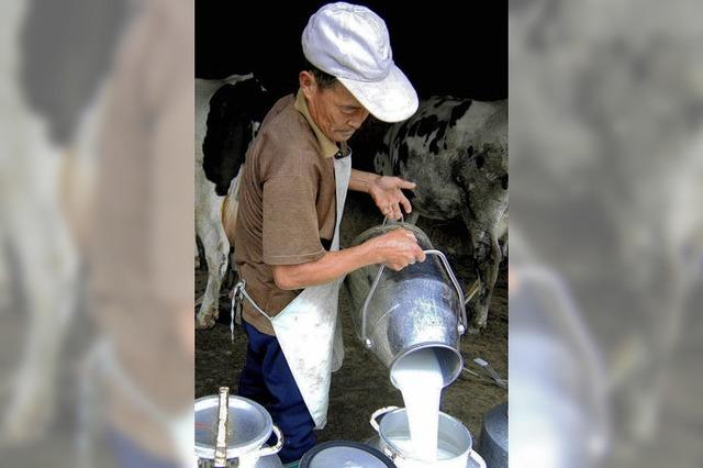 Ortenauer Milchbauern kmpfen weiter