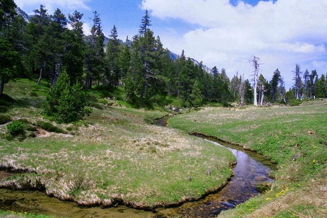 Der wilde Westen von Luzern