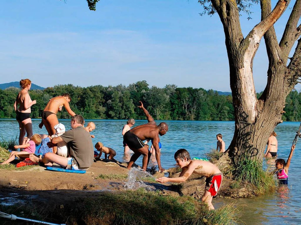 Weniger Probleme Am Burkheimer Baggersee Vogtsburg Badische Zeitung 2797