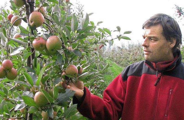 Uwe Miedtke  in seiner Apfelplantage auf dem Markenhof  | Foto: Kistler