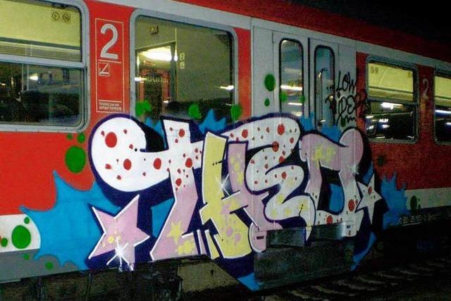 Graffitisprayer beschdigen Reisezug