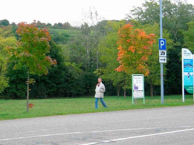 Wenn sich im Bad Bellinger Kurgebiet   ein Rewe-Markt  niederlsst, soll...   | Foto: Jutta Schtz