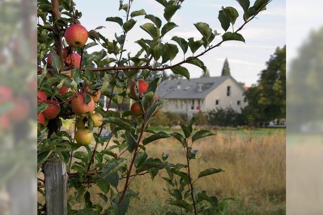 Neubaugebiet in Norsingen