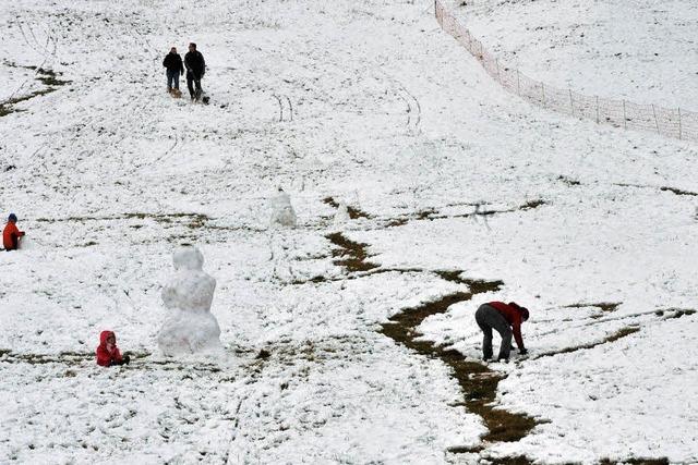 Bilder des Tages: DAS ERSTE WEISS