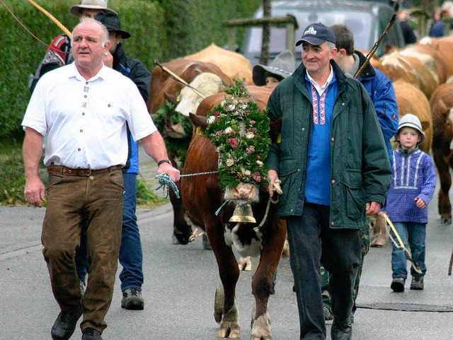 Acht Kilometer mussten die Khe mit ih... Erlenbach nach Oberried zurcklegen.   | Foto: michael martin