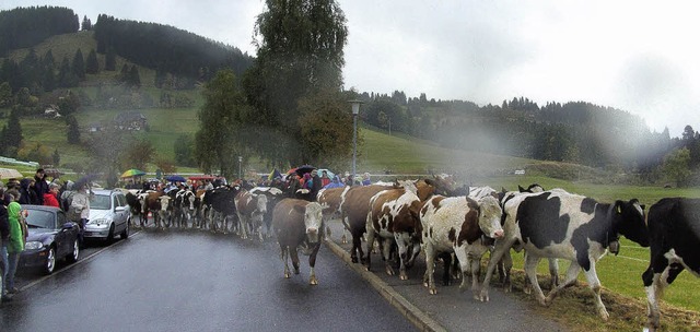 Mit den ersten Schneefllen  holte die... die Tiere wieder in die Stallungen.    | Foto: Tina Httich