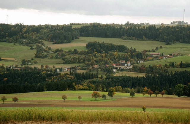 Blick von Reiselfingen aus ber die Wu...ier weiteren Anlagen eine Zaunwirkung.  | Foto: Martin Wunderle